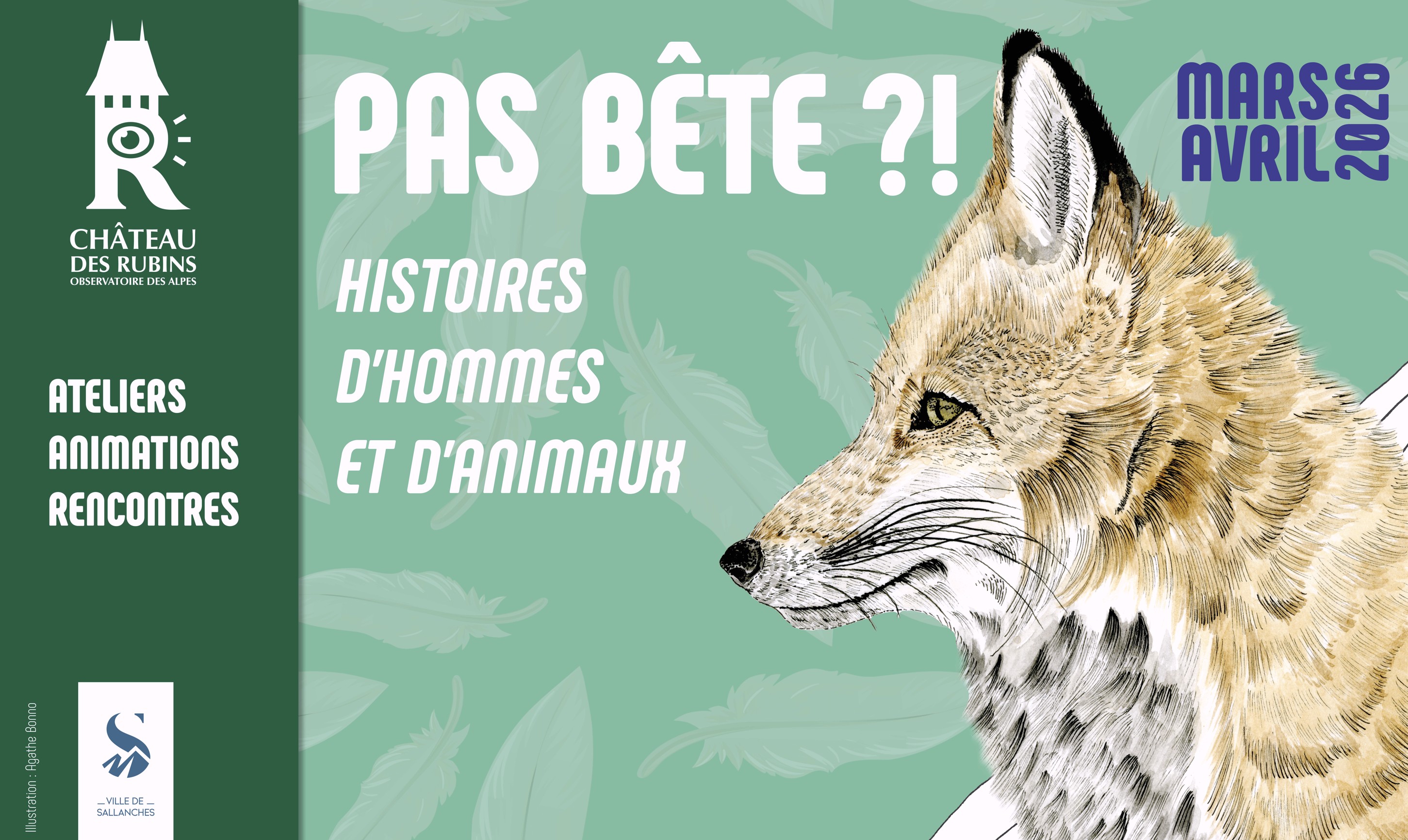 Rubins - Pas bêtes 2026