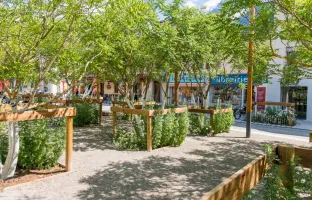 Îlots de fraicheur : la carte interactive !