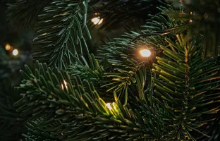 Le Sapin de Noël prend place à Sallanches !